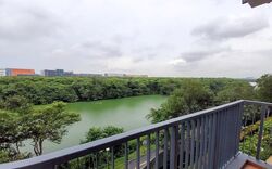 Kingsford Waterbay (D19), Apartment #638055501